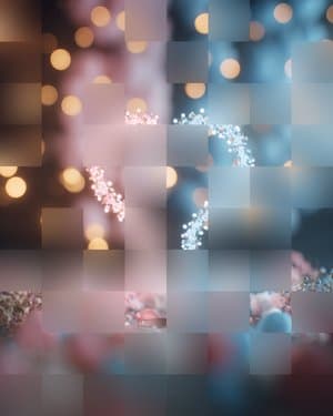 Blue or Bloom? – The Parkers' Baby Reveal